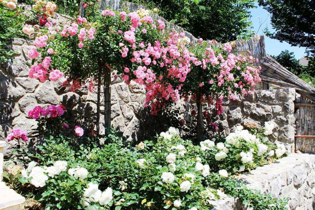 Apartments Frgacic Baška Dış mekan fotoğraf